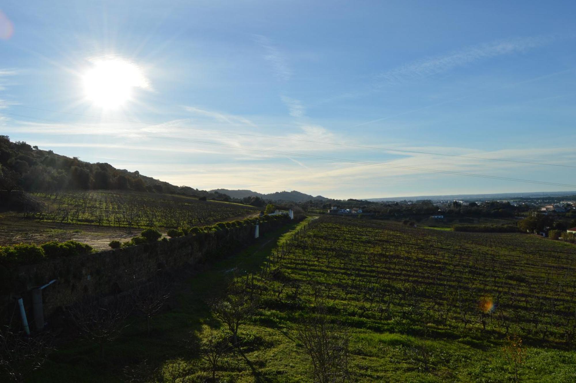 Quinta Do Piloto Guest House Palmela Eksteriør bilde
