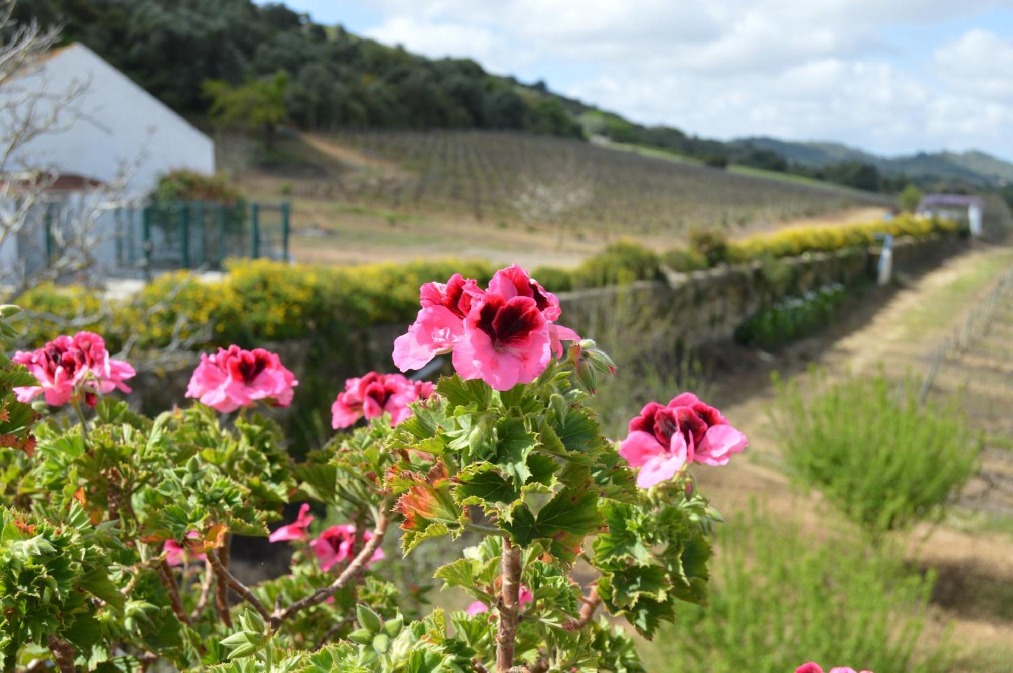 Quinta Do Piloto Guest House Palmela Eksteriør bilde