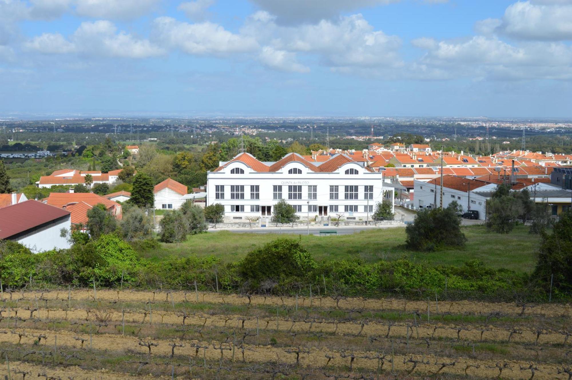Quinta Do Piloto Guest House Palmela Eksteriør bilde