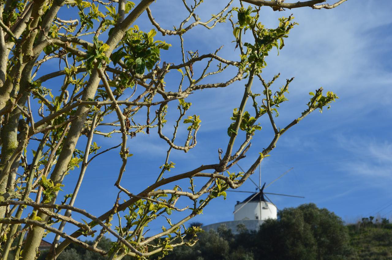 Quinta Do Piloto Guest House Palmela Eksteriør bilde